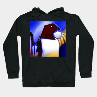 Little Auk Hoodie